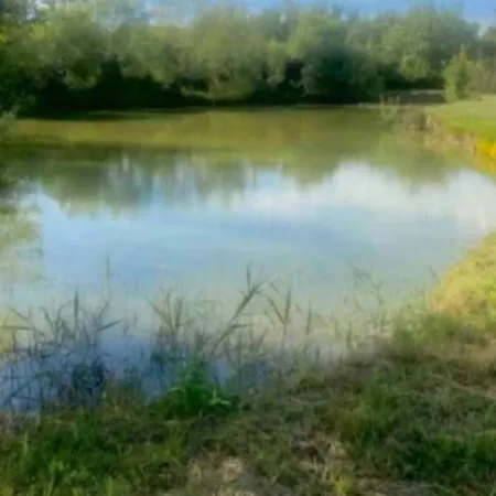 Le Marie Elodie85 Camping Angles (Vendee)